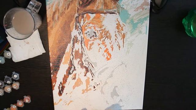 обзор картины по номерам/картина по номерам за минуту/ ускоренное видео рисования картины по номера смотреть онлайн