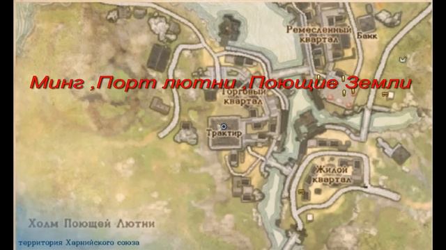 Arche Age Эмоция /Подметальщик