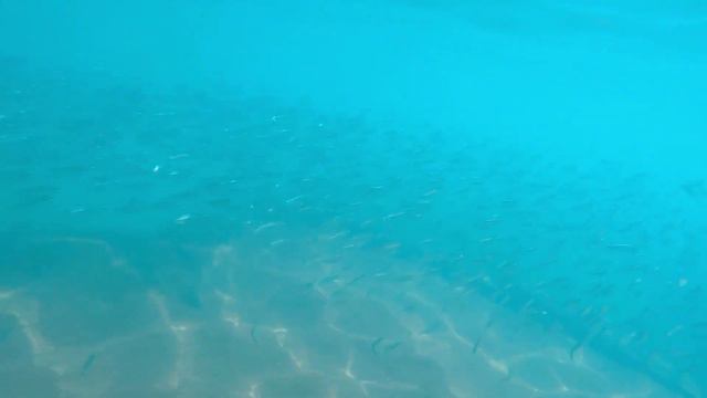 Отдых в Турции большой компанией смотреть онлайн