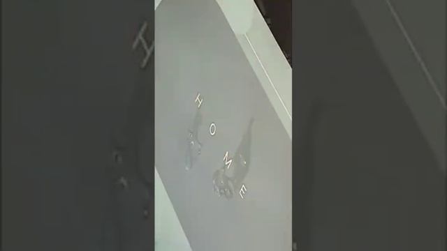 Супер впитывающий коврик https://2my.site/J91iWcm смотреть онлайн