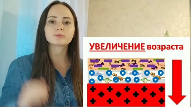 ОГЭ по географии 2023. Задание 8. Горные породы. смотреть онлайн