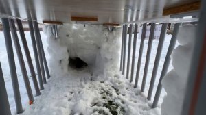 ПОБЕГ ИЗ СНЕЖНОЙ ТЮРЬМЫ ЧЕЛЛЕДЖ! КОШКУ МУРКУ ЗАПЕРЛИ В ЯЩИКЕ! КТО ПЕРВЫЙ ВЫБЕРЕТСЯ КОТ или КОШКА