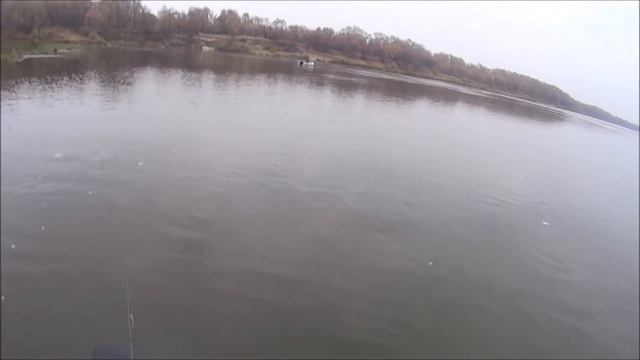 ДЖИГ НА ОКЕ .Натуралка против силикона смотреть онлайн