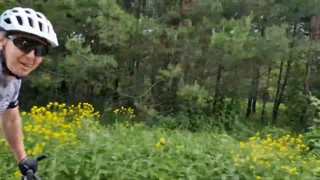 Муранский бор 2022, велопрогулка смотреть онлайн