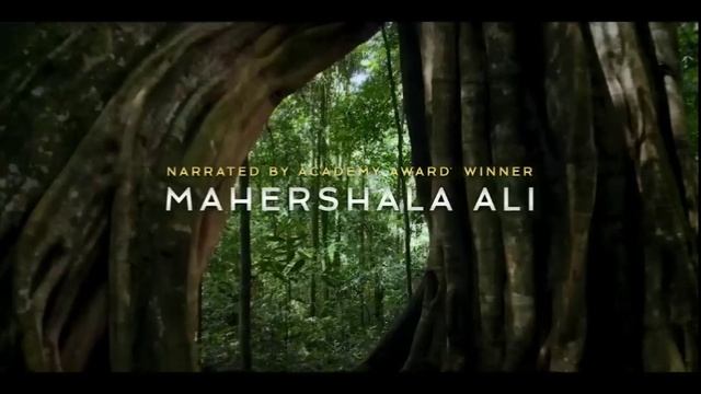 Империя шимпанзе ? Русский трейлер ? Сериал 2023 (Netflix) смотреть онлайн