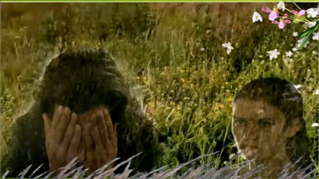 У беды глаза зелёные.. Прекрасна песня. смотреть онлайн