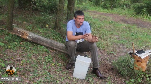 Приманки на волка. Краткий обзор и рецепт приготовления. смотреть онлайн