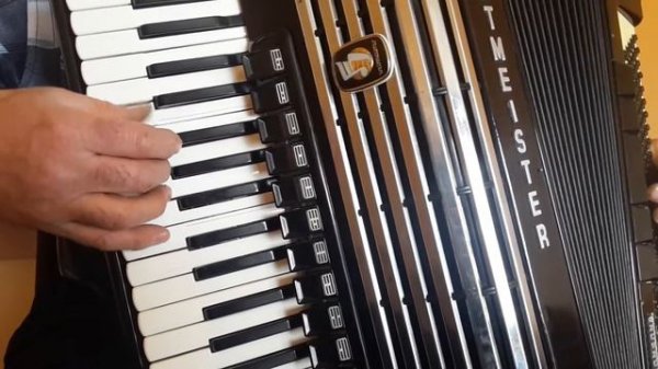 Weltmeister Consona 120 bass Cassotto accordion - very good condition with case (2)