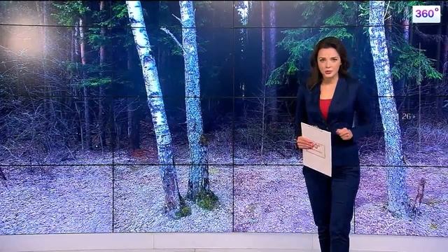 Три простых способа избавиться от гусениц на деревьях смотреть онлайн