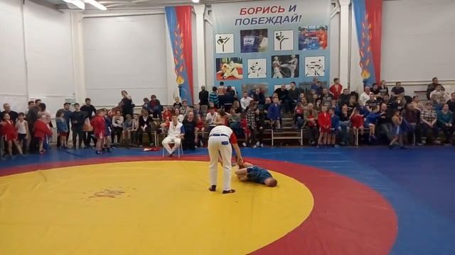 Соревнования по самбо 25 ноября 2017 года смотреть онлайн