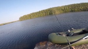 Окунь на килограмм!