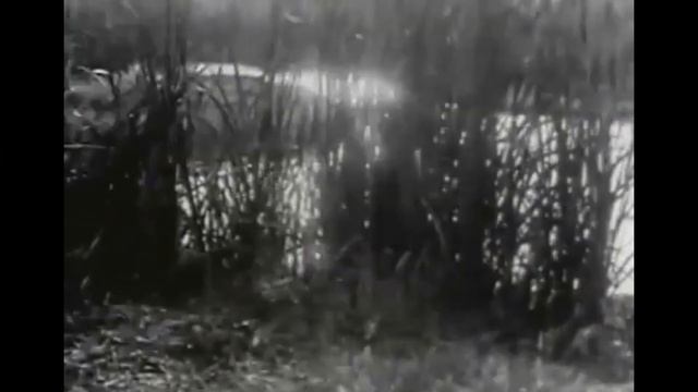 Shostakovich. Waltz No. 2 op. 5 (Orchestration) смотреть онлайн