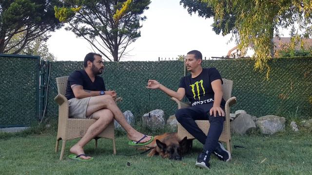 EFSANE ALMAN ÇOBAN KÖPEKLERİ VE SİNAN ÇİNİOĞLU смотреть онлайн