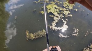 БОМБА СНАСТЬ! Ловля Карася на Попла - Поппер в приглядку.