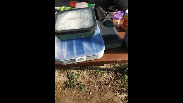 "Улов всей жизни: Летняя рыбалка на озере Тенир" смотреть онлайн