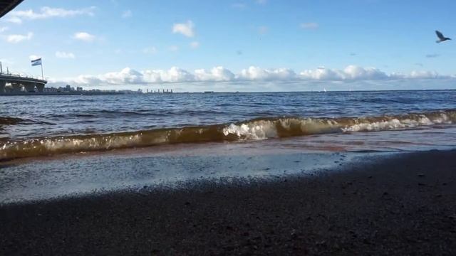 1 час релаксирующего видео. Не тропики но Финский залив, Санкт-Петербург смотреть онлайн