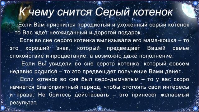 К чему снится Серый котенок - Сонник смотреть онлайн