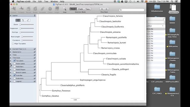 Fig Tree Generalidades смотреть онлайн
