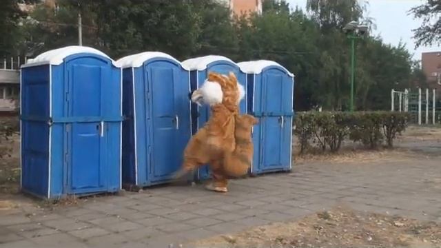 Атака клоунов в Ярославле смотреть онлайн