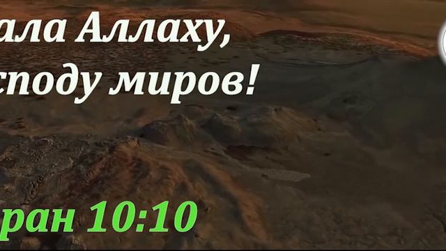 Благодарность Алллаху смотреть онлайн