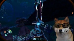 ПЕС СТРИМЕР В Subnautica - Below Zero