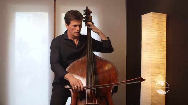 AMEB Double Bass Technical Work: Grade 2 - Bowing variations, hook stroke смотреть онлайн
