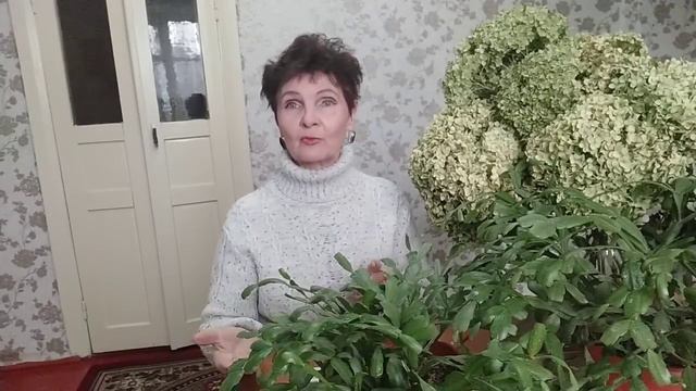 В ПОХУДЕНИИ, ВАЖНЕЕ , ВОЛЯ!?, ДИСЦИПЛИНА? ПРИВЫЧКА?🤔💃АЛИНДА РАССУЖДАЕТ🤭🤗🙏💃💃🌞😊🇰🇬🖐️🖐️ смотреть онлайн