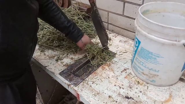 Самодельный резак или измельчитель сена !!! смотреть онлайн