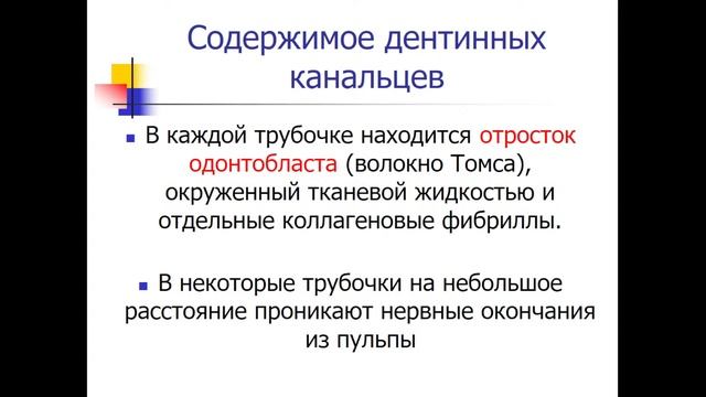 13:50 Строение тканей зуба смотреть онлайн