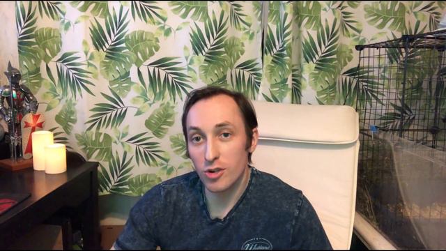 Как уехать из страны с животным. смотреть онлайн