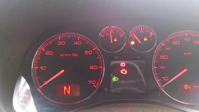 Peugeot 307 2.0 что может быть?