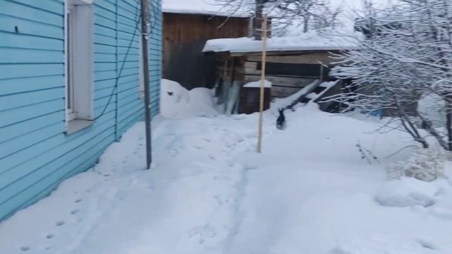 ЖИЗНЬ В АЛТАЙСКОМ КРАЕ,город Заринск смотреть онлайн