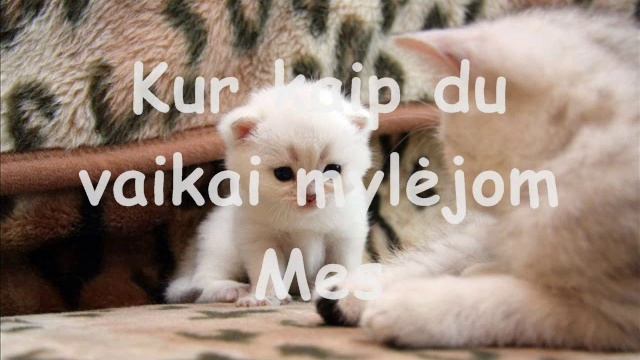 Liepa - Laiminga.wmv смотреть онлайн