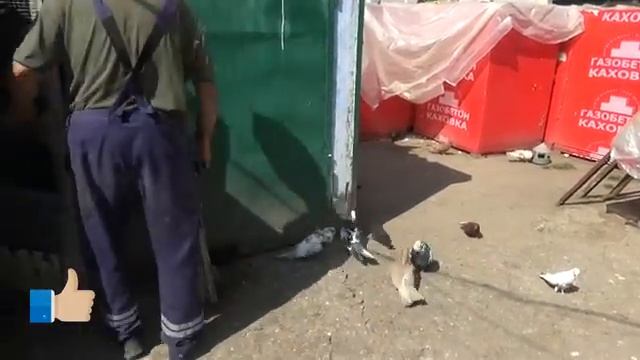 Давно не виделись 2ч ........... смотреть онлайн