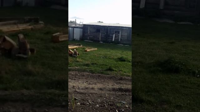 Вот здесь должна жить мать-одиночка с малолетними детьми, так считает администрация Аромашево смотреть онлайн