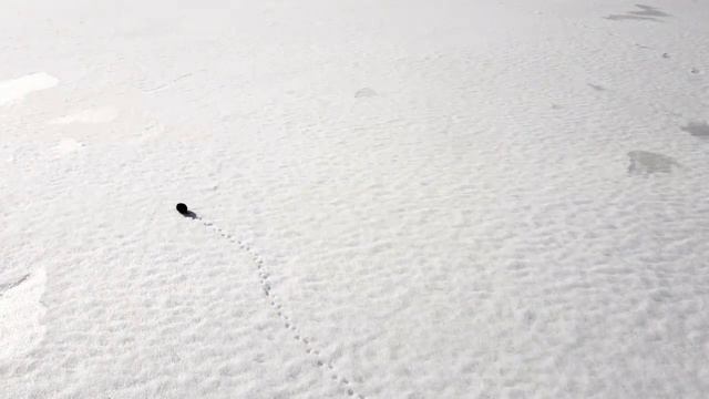 mavic mini 3 my modified drone смотреть онлайн