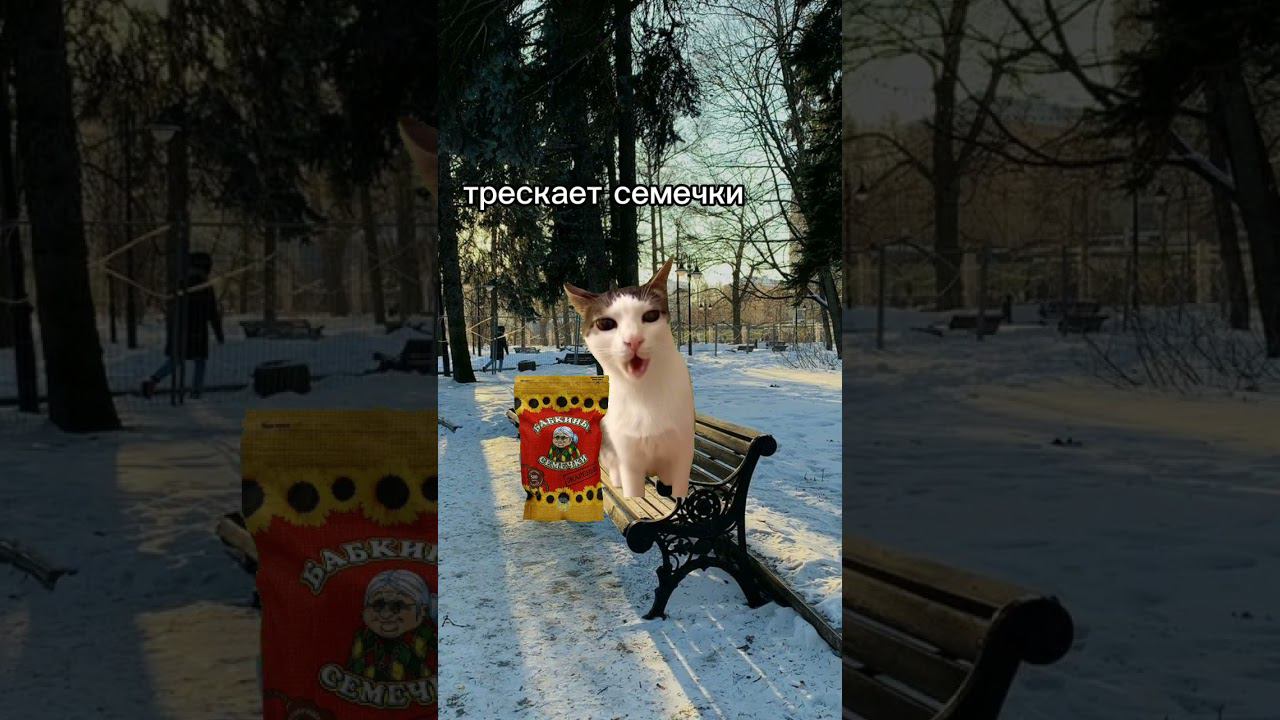 типы людей когда наступила весна #мем смотреть онлайн