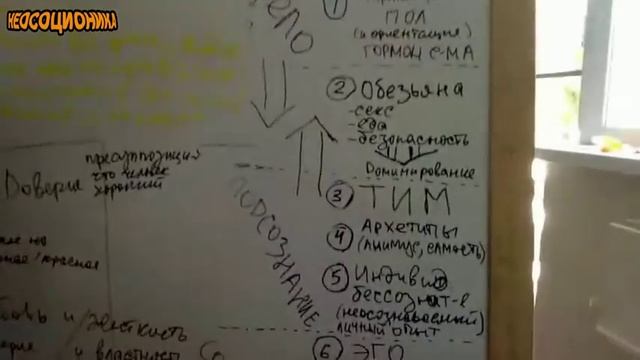 Гексликаст 28. Многофакторная система человека смотреть онлайн