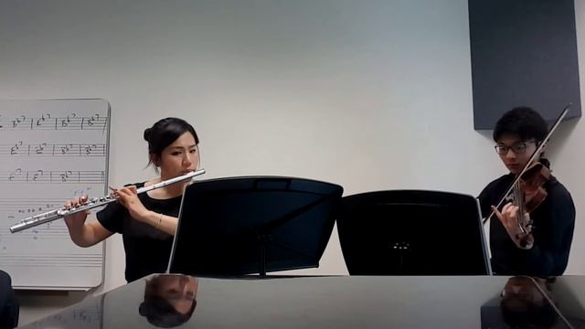 Mozart Flute and Violin Duet смотреть онлайн