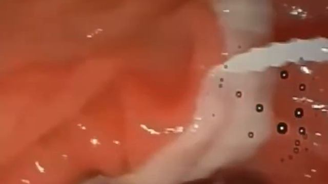 Бычий цепень смотреть онлайн