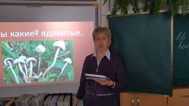 Прилагательное. Русский язык. 2 класс смотреть онлайн