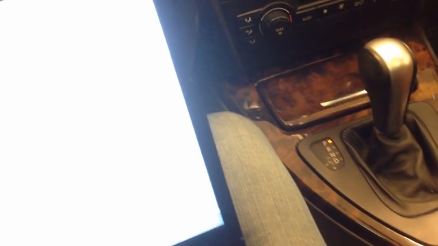 BMW INPA - Видео обзор смотреть онлайн