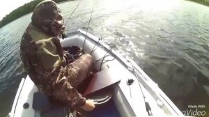 Ловля окуня на спинербейт. Catching bass on a spinnerbait.