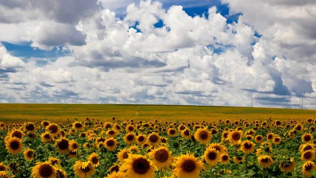 Русская народная музыка смотреть онлайн
