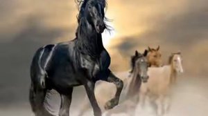 Хей-ой Конь мой вороной      Hey-Oh lyrics