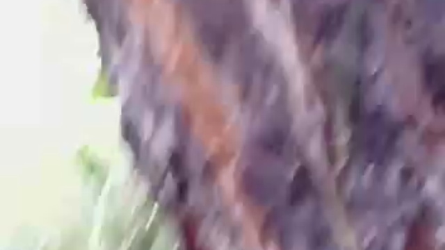 Грузин испугался российского СУ-25 смотреть онлайн