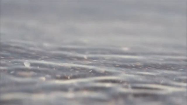 Прибалтика. Взморье.Музыка моря и дюн. смотреть онлайн