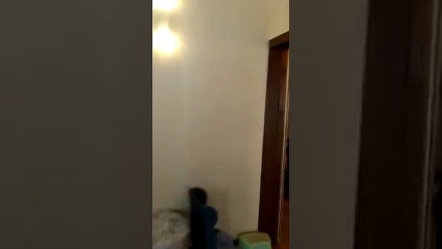 3х комнатная квартира 38/13/1