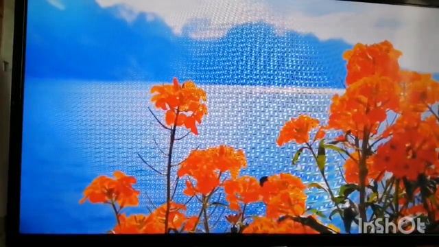 Пташечка смотреть онлайн