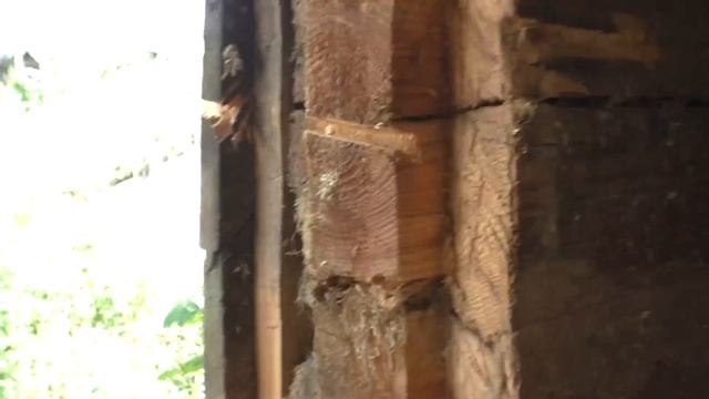 Установка пластиковых окон в деревянном доме смотреть онлайн